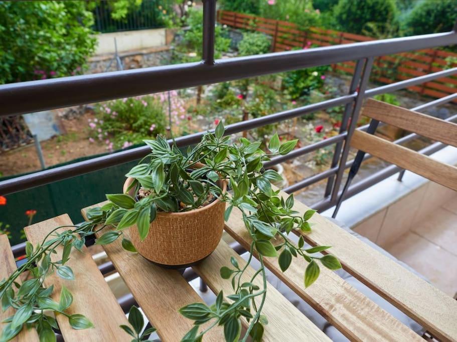 Faraí Casa Di Andreo 아파트 외부 사진